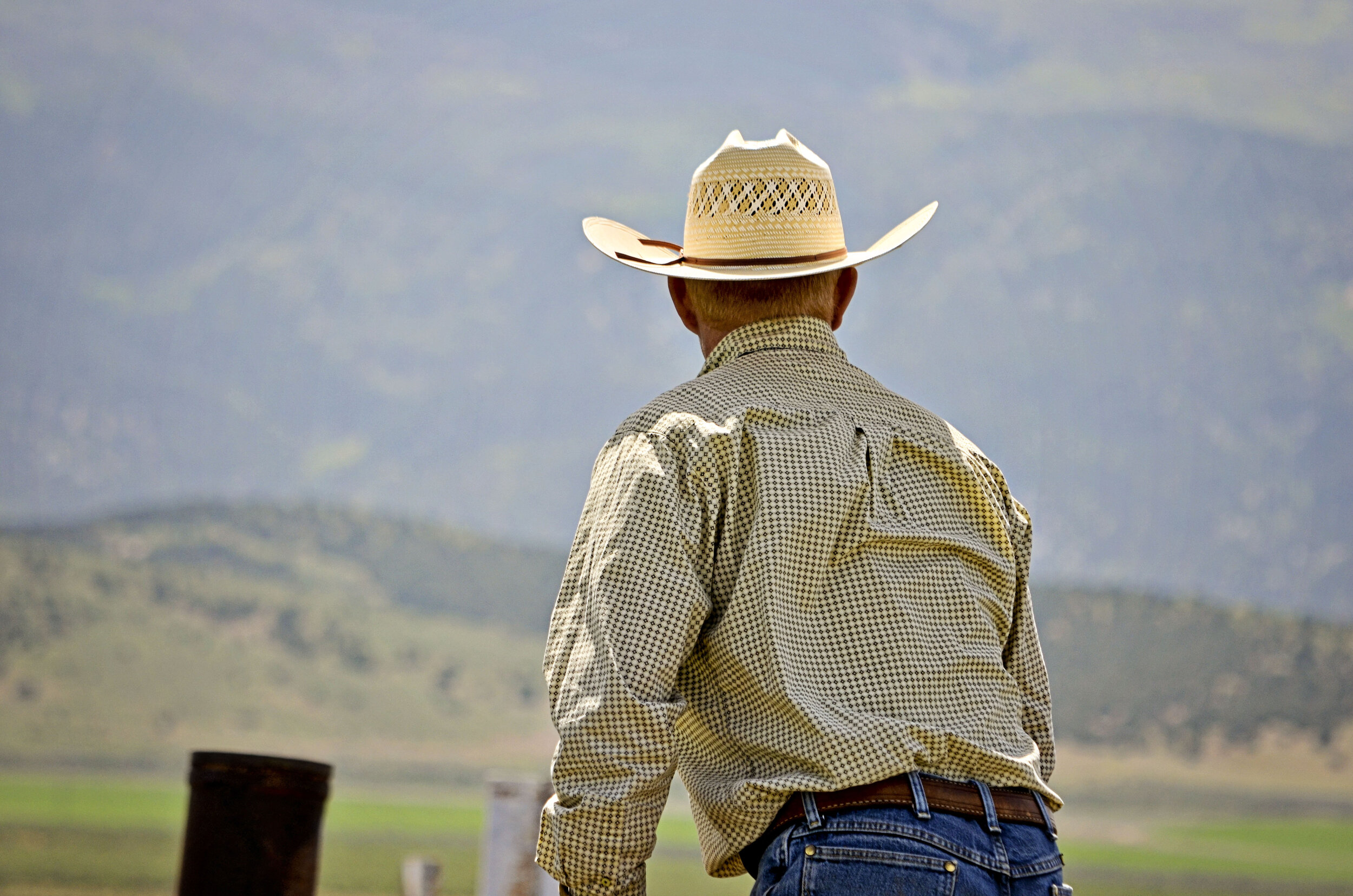 Christiansens+Family+Farm+Utah+-+11 A cowboy in a straw hat and checkered shirt stands with his back to the camera, overlooking a scenic landscape of rolling hills and mountains. The image captures the essence of rural life and cowboy culture.