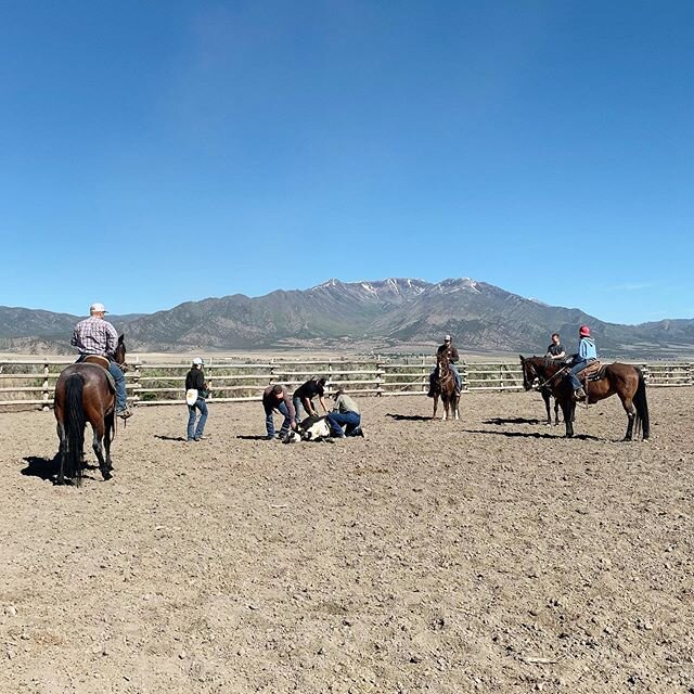 image-asset - 2026-07-17T142704.266 Group of people in a horse arena, some on horseback, while others attend to a horse on the ground. The background features a scenic view of mountains under a clear blue sky.