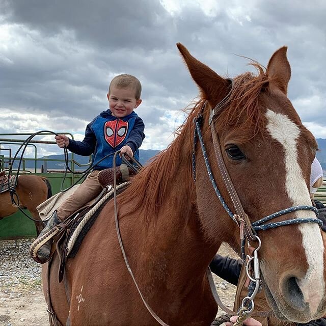 image-asset - 2026-07-17T142706.888 Young child in a Spider-Man hoodie smiling while riding a brown horse, with cloudy skies in the background. The scene captures a joyful moment of horseback riding, highlighting outdoor adventure and child-friendly activities.