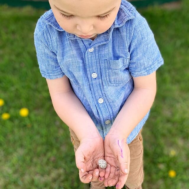 image-asset - 2026-07-17T142708.455 Young child in a blue button-up shirt holding a small object in dirty hands while standing on grass with yellow flowers, showcasing a moment of curiosity and exploration in nature.