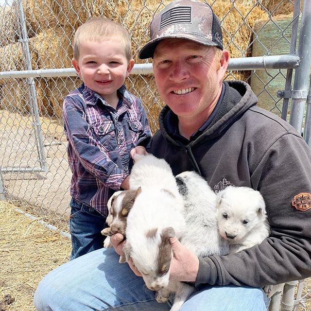 image-asset - 2026-07-17T150025.978 Smiling man holding several puppies while a young boy stands beside him, both enjoying a sunny day on a farm with hay bales in the background. Perfect for showcasing family bonding and the joy of pets.